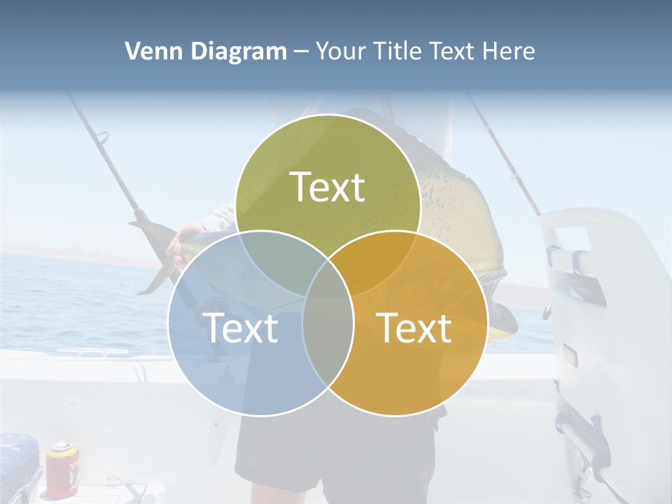 Colorful Fish Dolphin Fish Ocean Fishing PowerPoint Template