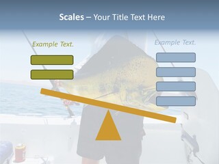 Colorful Fish Dolphin Fish Ocean Fishing PowerPoint Template