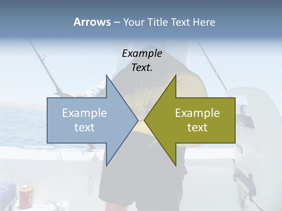 Colorful Fish Dolphin Fish Ocean Fishing PowerPoint Template