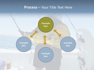 Colorful Fish Dolphin Fish Ocean Fishing PowerPoint Template