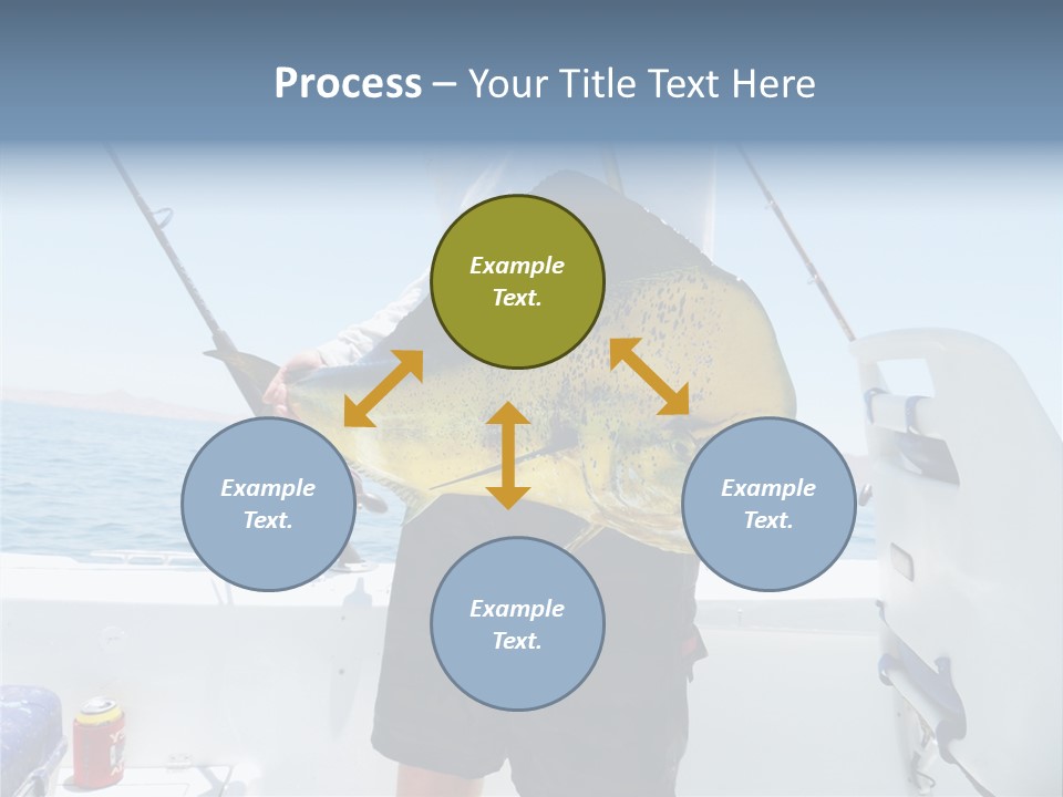 Colorful Fish Dolphin Fish Ocean Fishing PowerPoint Template