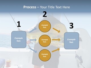 Colorful Fish Dolphin Fish Ocean Fishing PowerPoint Template