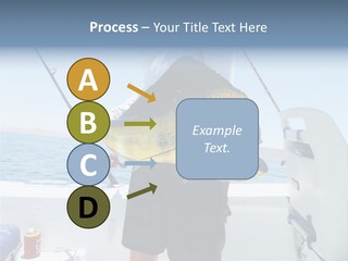 Colorful Fish Dolphin Fish Ocean Fishing PowerPoint Template