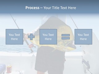 Colorful Fish Dolphin Fish Ocean Fishing PowerPoint Template