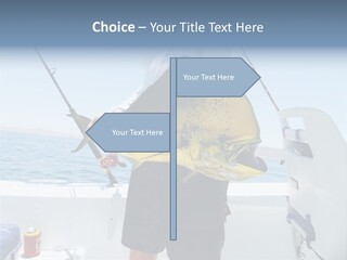 Colorful Fish Dolphin Fish Ocean Fishing PowerPoint Template