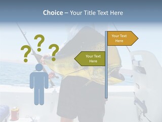 Colorful Fish Dolphin Fish Ocean Fishing PowerPoint Template