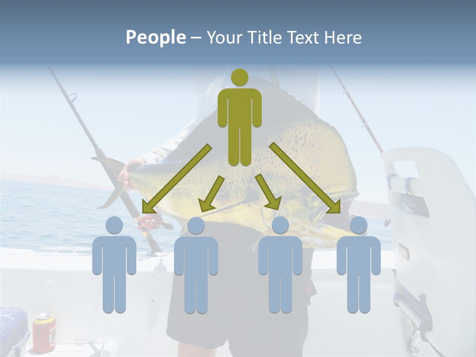 Colorful Fish Dolphin Fish Ocean Fishing PowerPoint Template