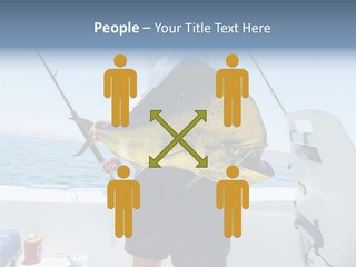 Colorful Fish Dolphin Fish Ocean Fishing PowerPoint Template