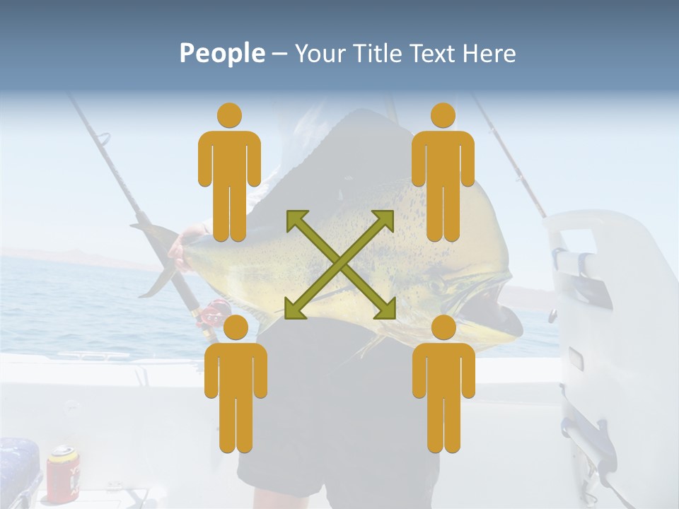 Colorful Fish Dolphin Fish Ocean Fishing PowerPoint Template