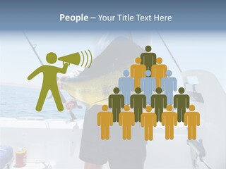 Colorful Fish Dolphin Fish Ocean Fishing PowerPoint Template