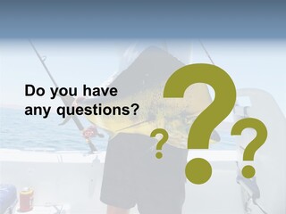 Colorful Fish Dolphin Fish Ocean Fishing PowerPoint Template