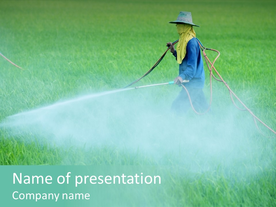 Hat Agriculture Plant PowerPoint Template