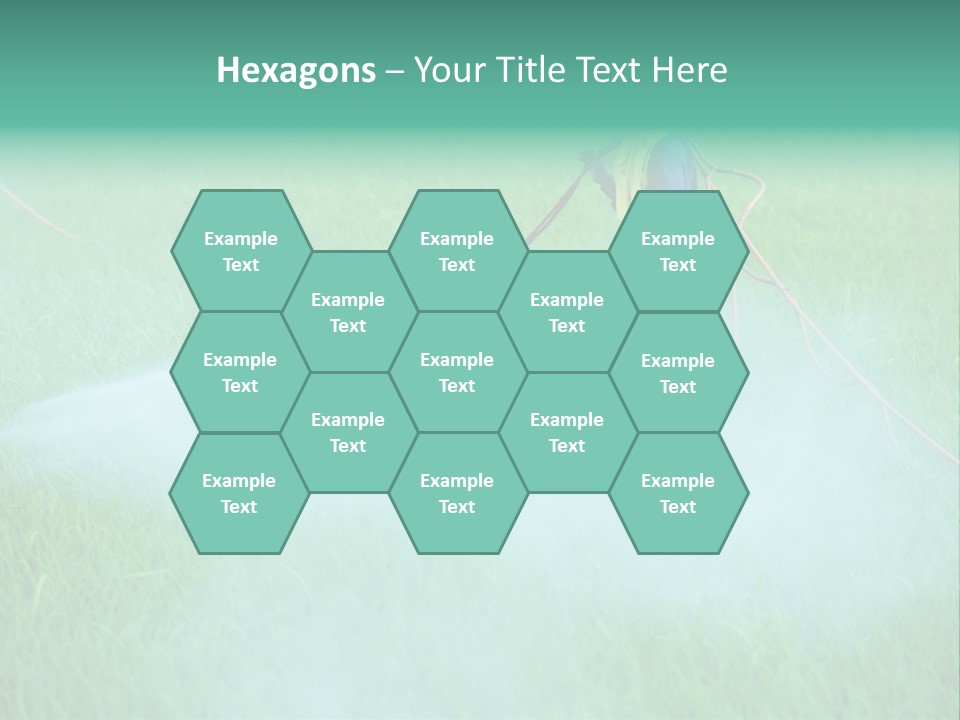 Hat Agriculture Plant PowerPoint Template