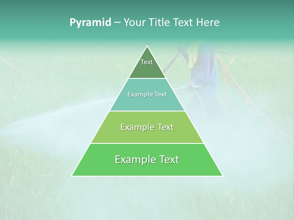 Hat Agriculture Plant PowerPoint Template