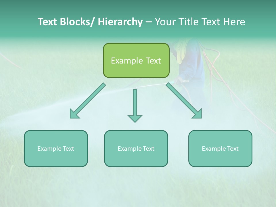 Hat Agriculture Plant PowerPoint Template
