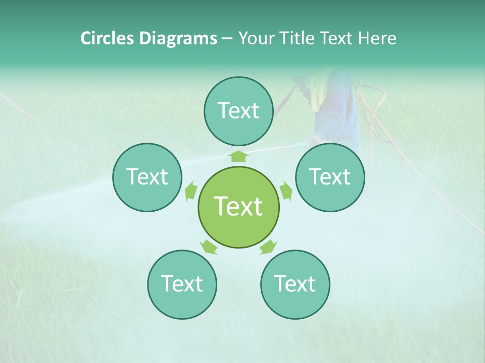 Hat Agriculture Plant PowerPoint Template