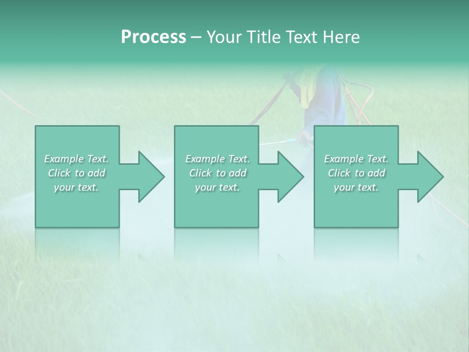 Hat Agriculture Plant PowerPoint Template