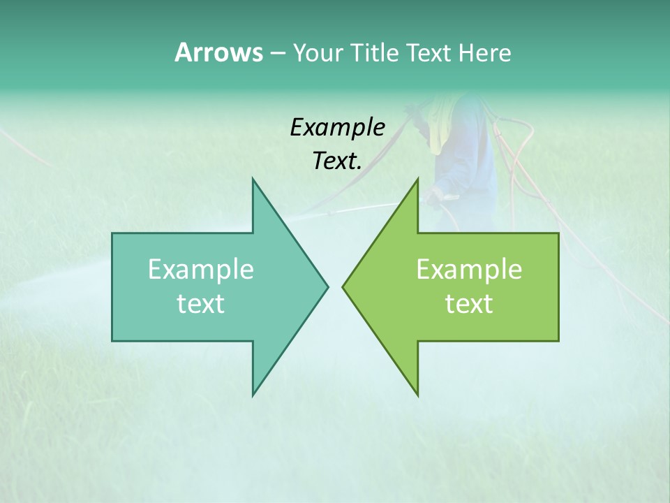 Hat Agriculture Plant PowerPoint Template