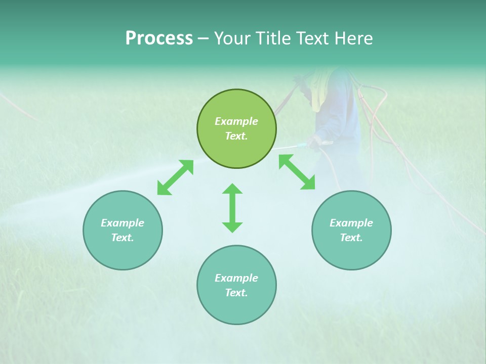 Hat Agriculture Plant PowerPoint Template