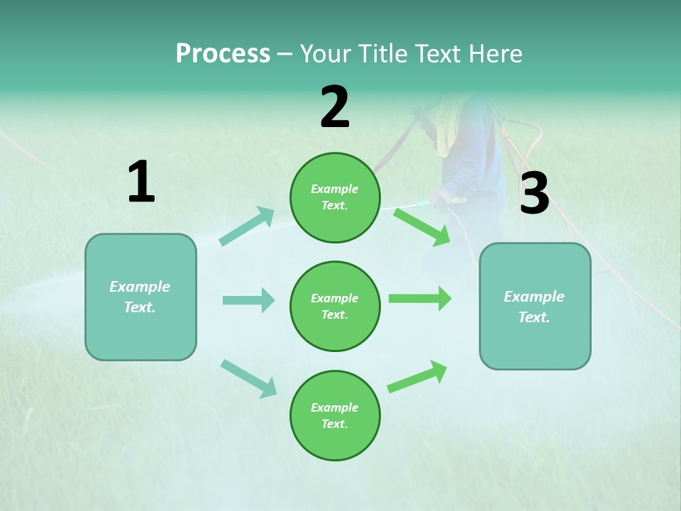 Hat Agriculture Plant PowerPoint Template