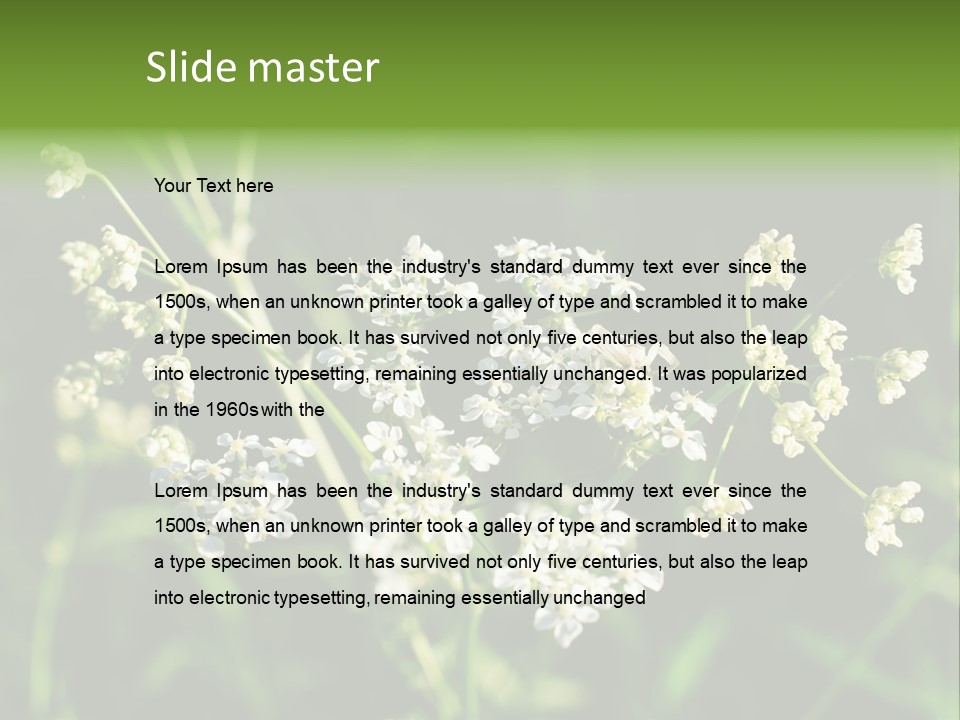 Light Background Wallpaper PowerPoint Template