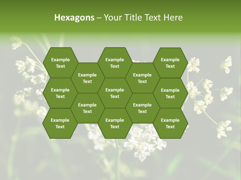 Light Background Wallpaper PowerPoint Template