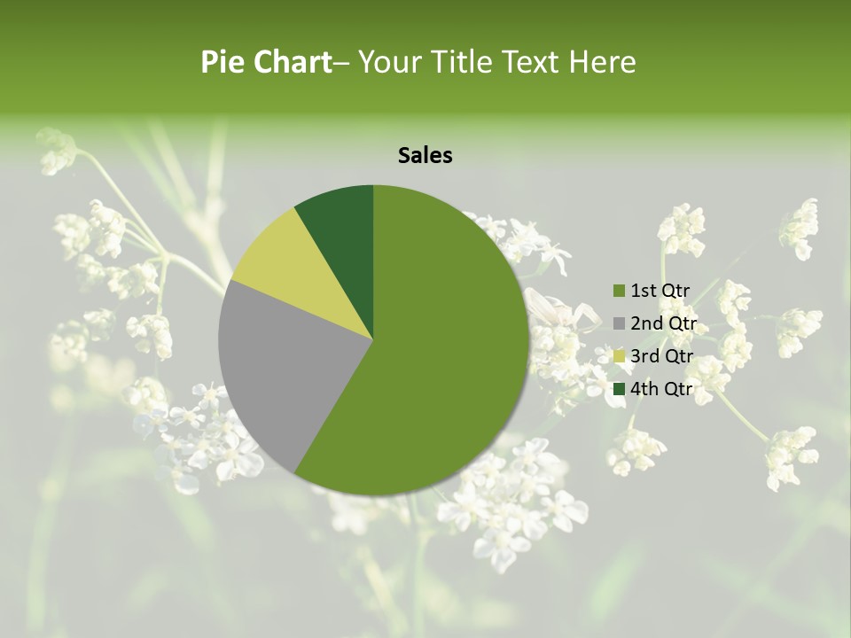 Light Background Wallpaper PowerPoint Template