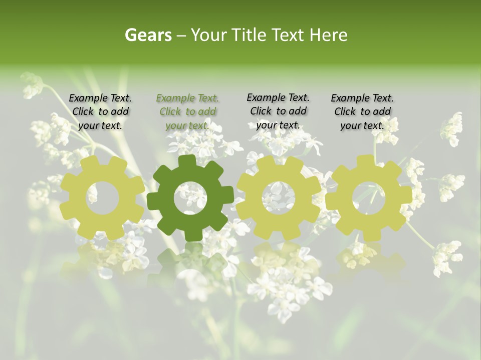 Light Background Wallpaper PowerPoint Template