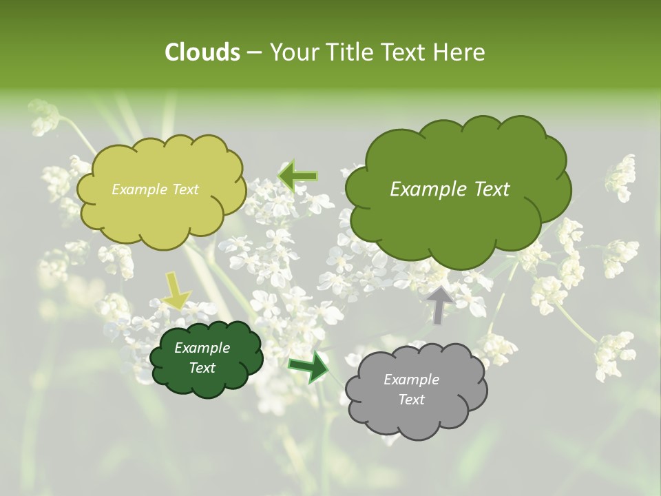 Light Background Wallpaper PowerPoint Template