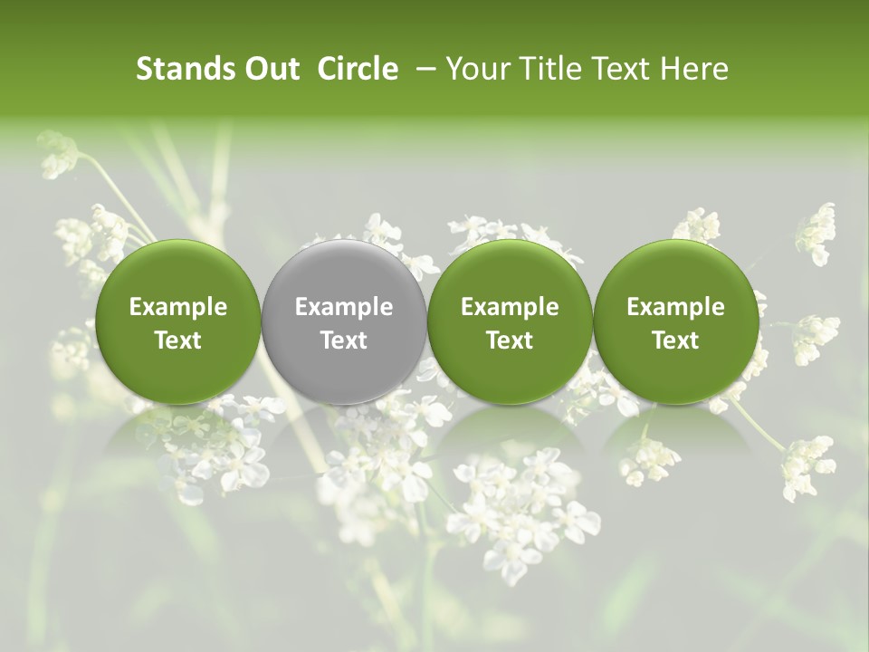 Light Background Wallpaper PowerPoint Template