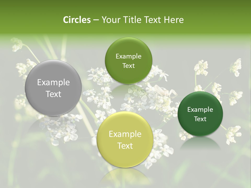 Light Background Wallpaper PowerPoint Template