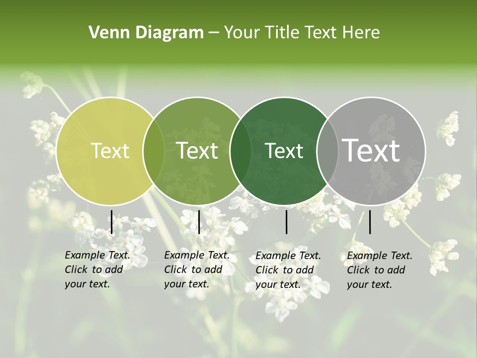 Light Background Wallpaper PowerPoint Template