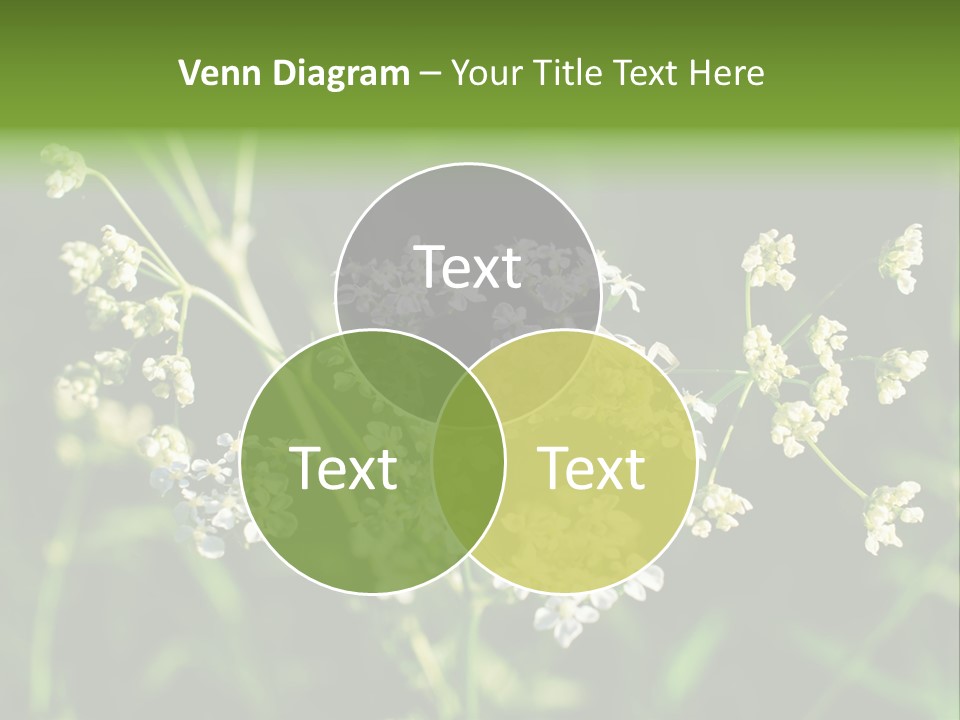 Light Background Wallpaper PowerPoint Template