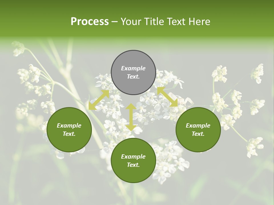 Light Background Wallpaper PowerPoint Template