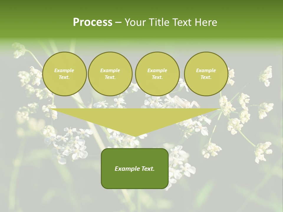 Light Background Wallpaper PowerPoint Template