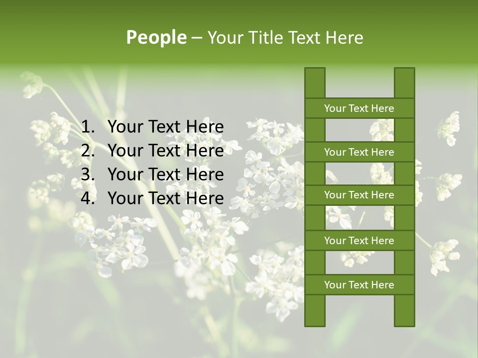 Light Background Wallpaper PowerPoint Template