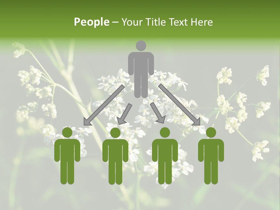 Light Background Wallpaper PowerPoint Template