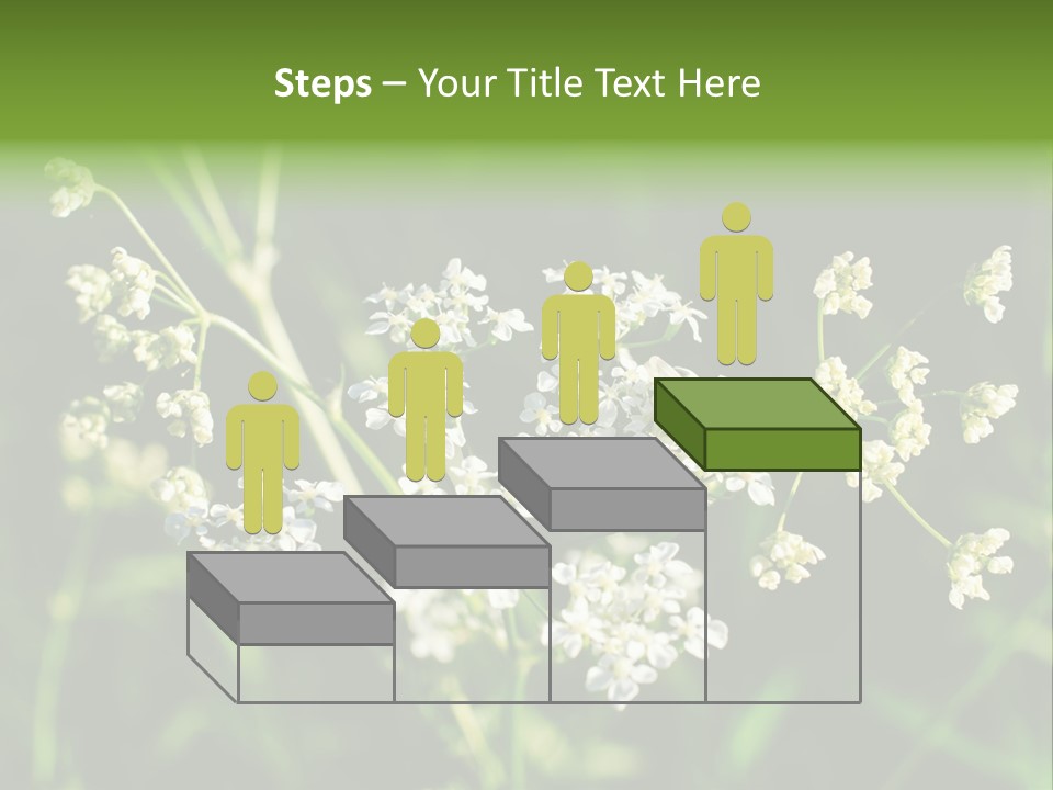 Light Background Wallpaper PowerPoint Template