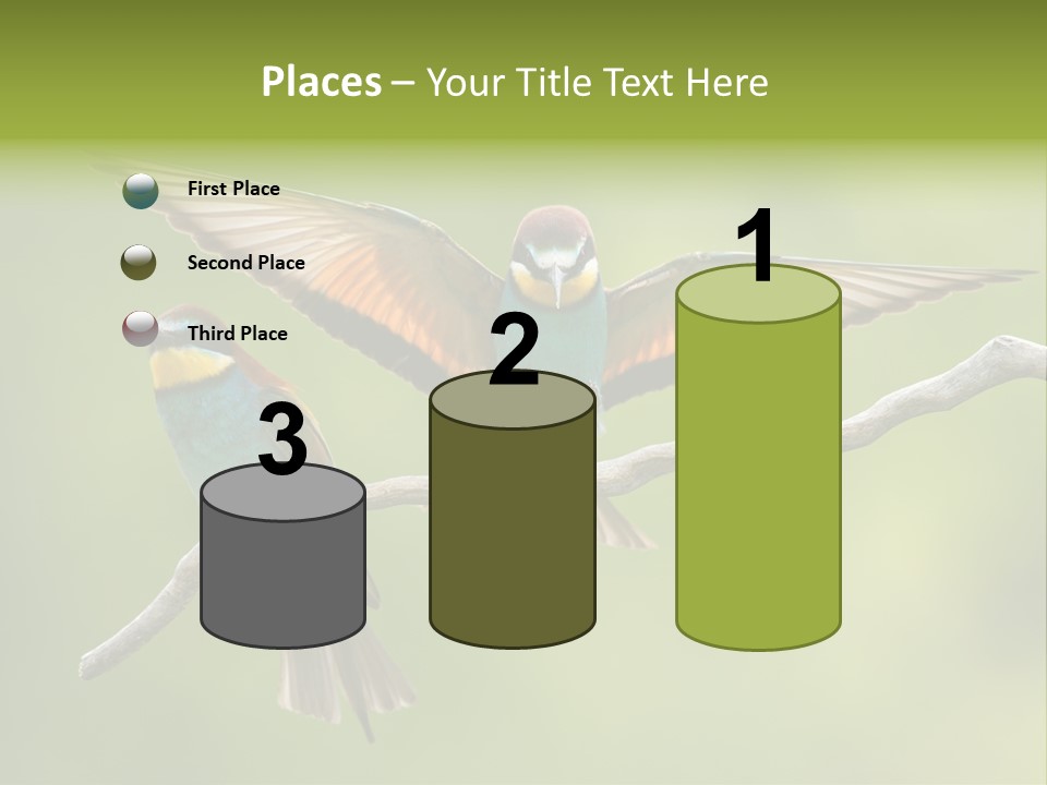 A Couple Of Birds Sitting On Top Of A Tree Branch PowerPoint Template