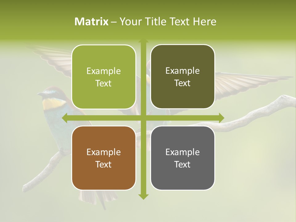 A Couple Of Birds Sitting On Top Of A Tree Branch PowerPoint Template