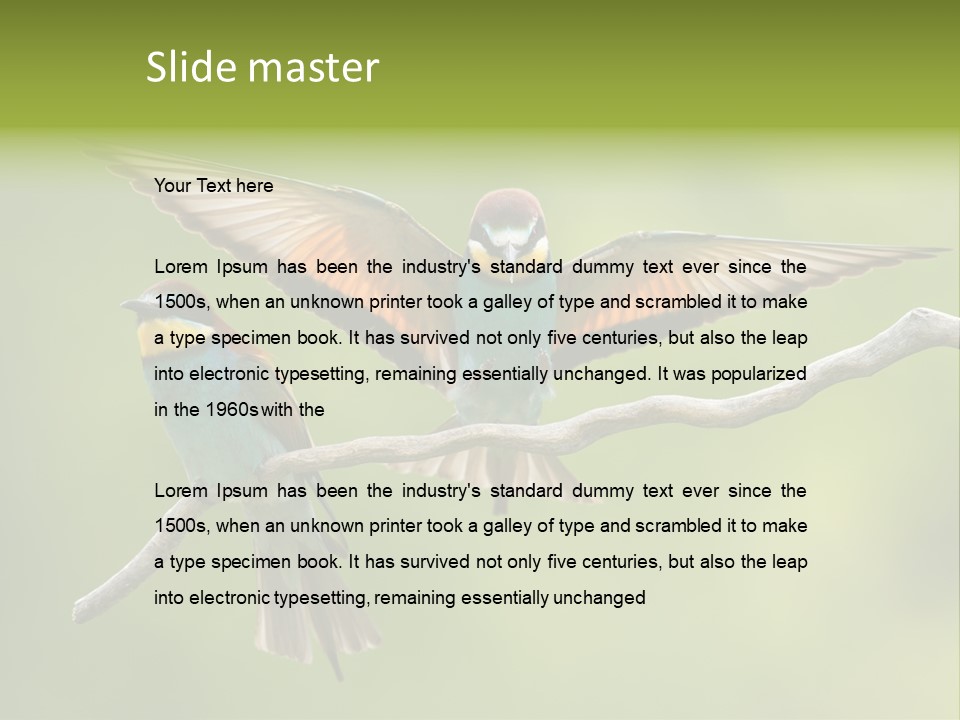 A Couple Of Birds Sitting On Top Of A Tree Branch PowerPoint Template