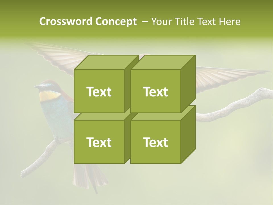 A Couple Of Birds Sitting On Top Of A Tree Branch PowerPoint Template
