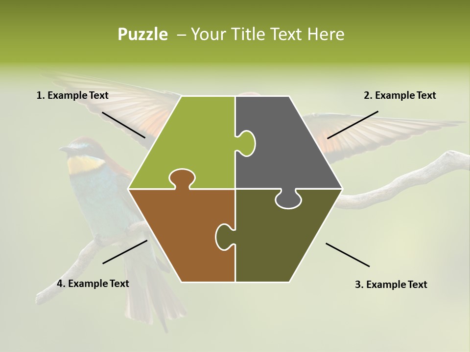 A Couple Of Birds Sitting On Top Of A Tree Branch PowerPoint Template