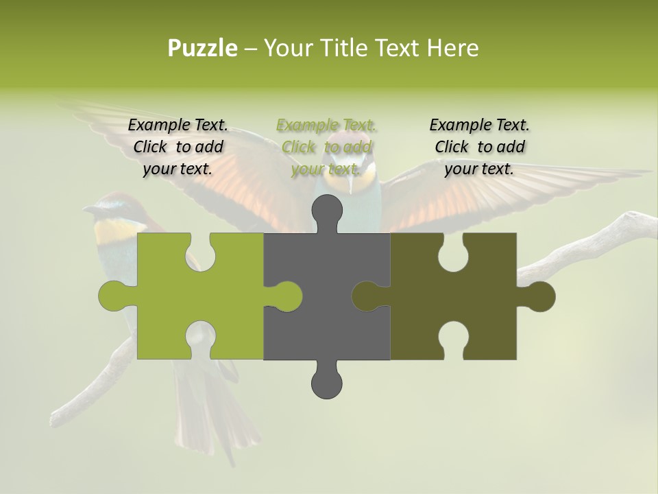 A Couple Of Birds Sitting On Top Of A Tree Branch PowerPoint Template