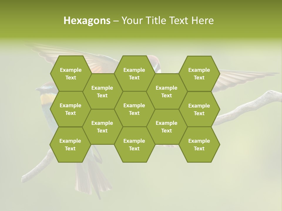 A Couple Of Birds Sitting On Top Of A Tree Branch PowerPoint Template