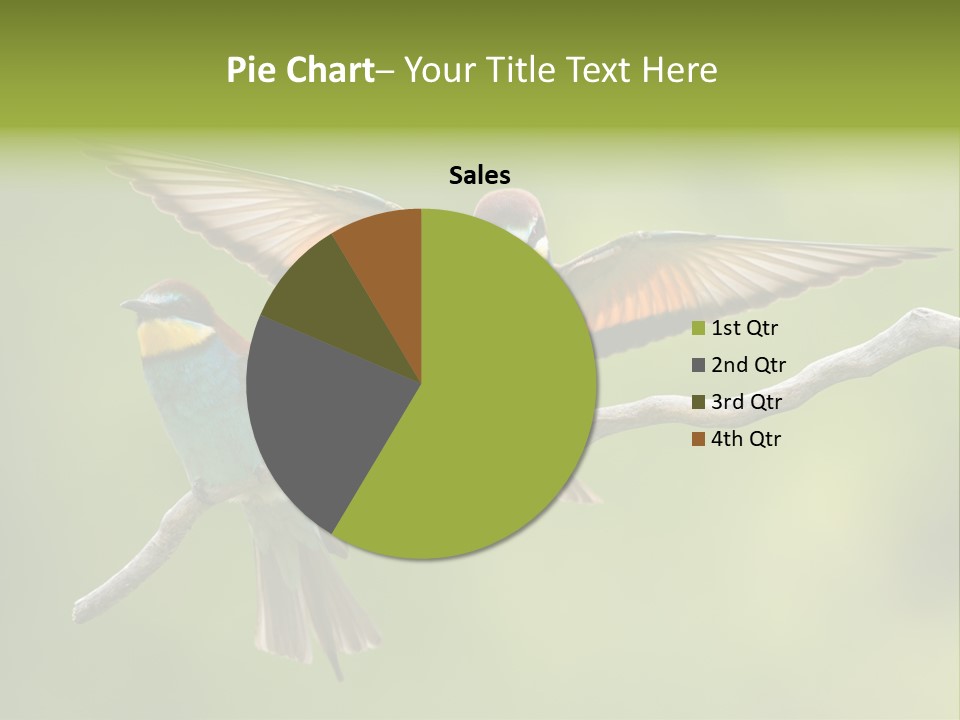 A Couple Of Birds Sitting On Top Of A Tree Branch PowerPoint Template