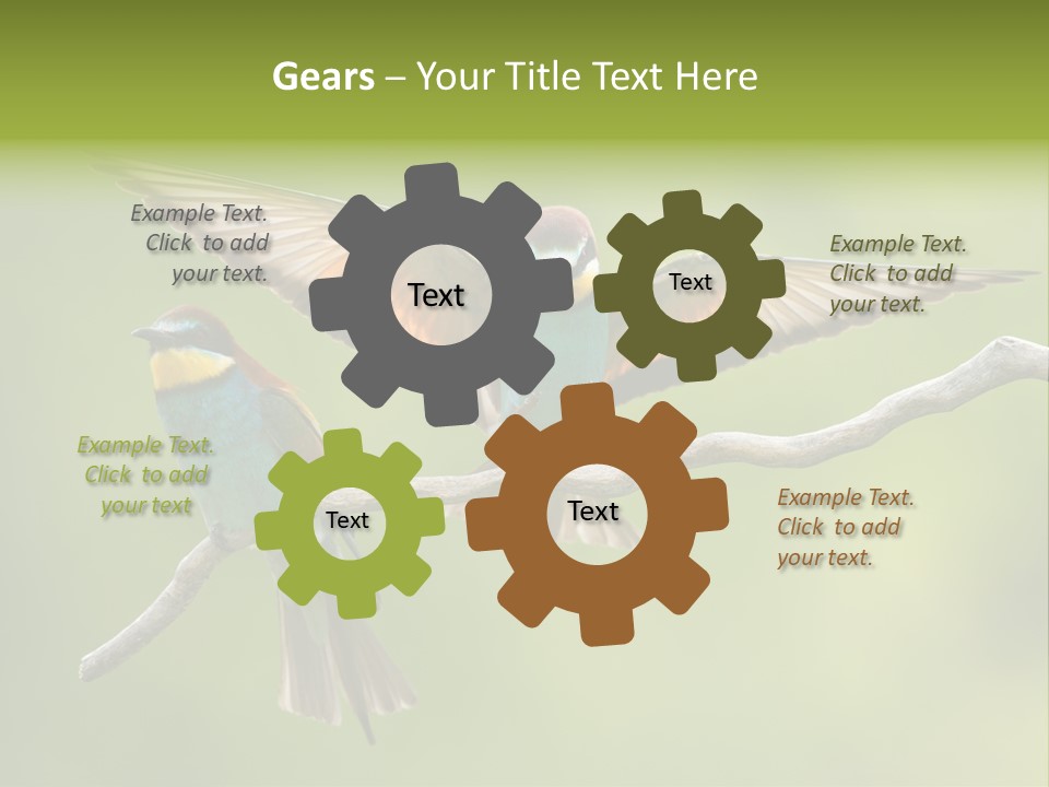 A Couple Of Birds Sitting On Top Of A Tree Branch PowerPoint Template