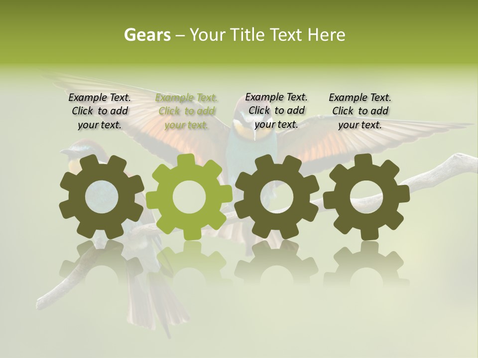 A Couple Of Birds Sitting On Top Of A Tree Branch PowerPoint Template