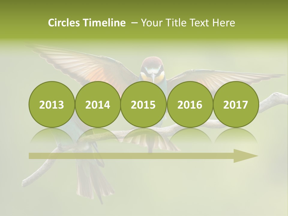 A Couple Of Birds Sitting On Top Of A Tree Branch PowerPoint Template