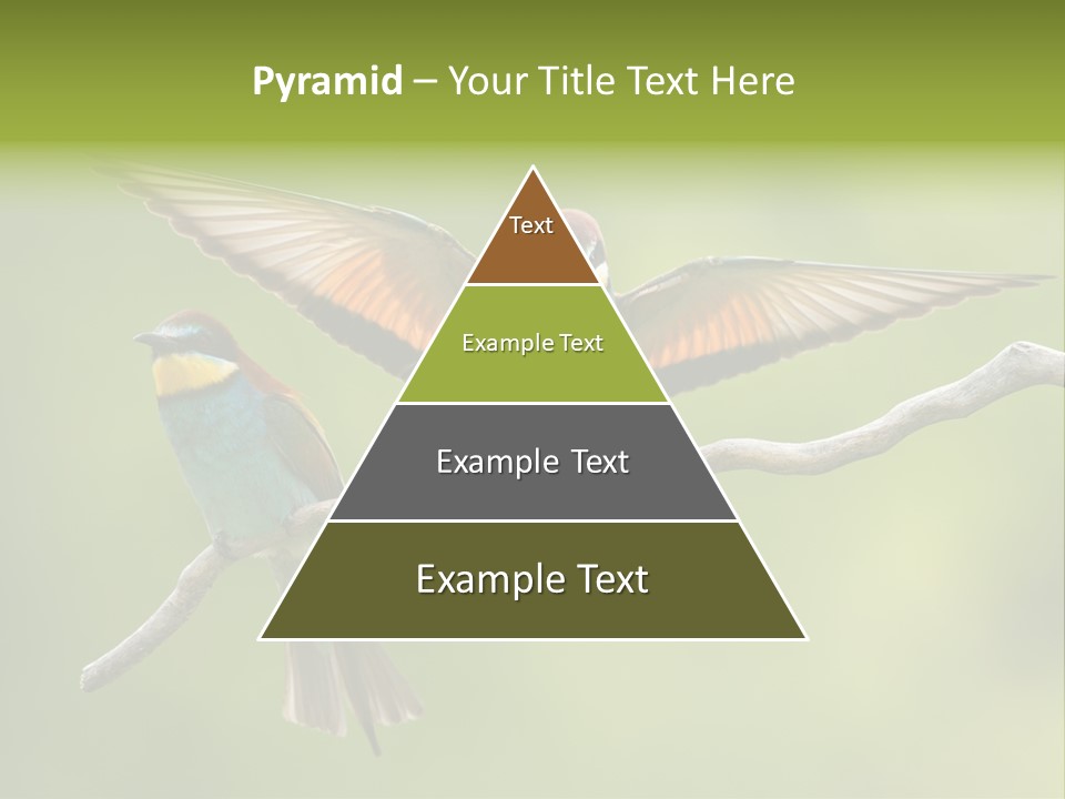A Couple Of Birds Sitting On Top Of A Tree Branch PowerPoint Template